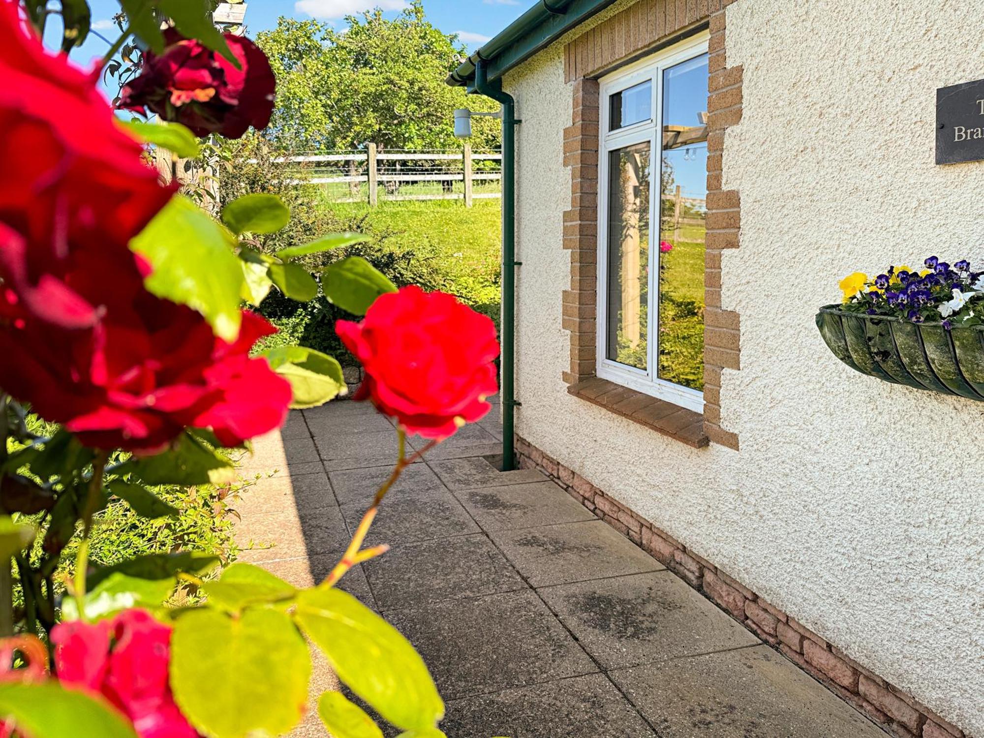 The Bramleys Old Cleeve Villa Washford Exterior photo